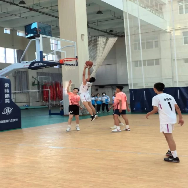 足球杯赛焦点对决：第86组阵容全面解析